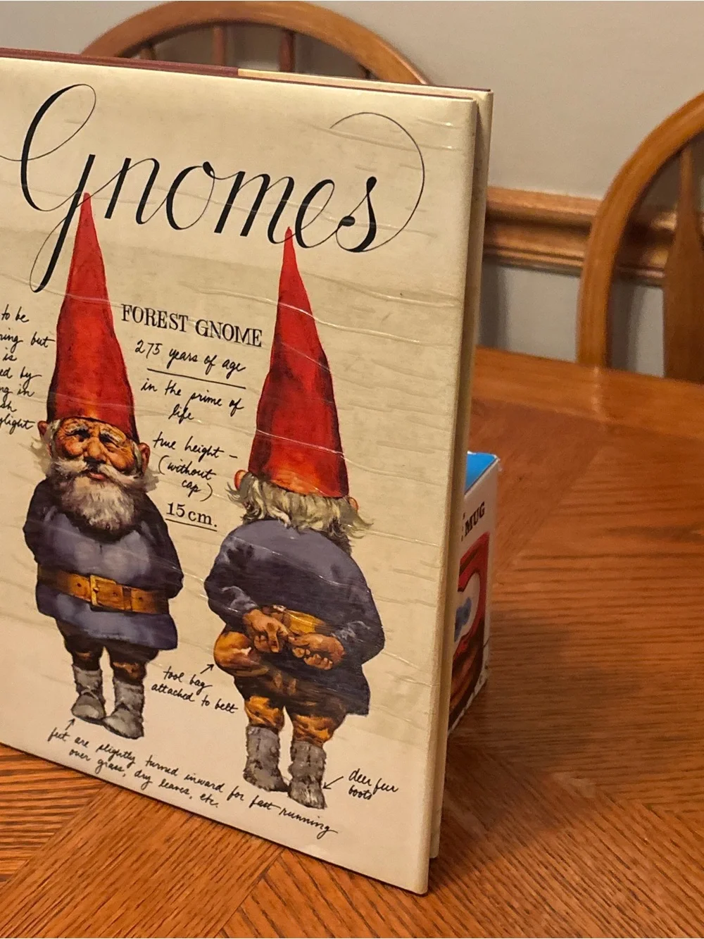 Gnomes by Wil Huygen & Rien Poortvliet – 1977 Vintage Hardcover Art Book